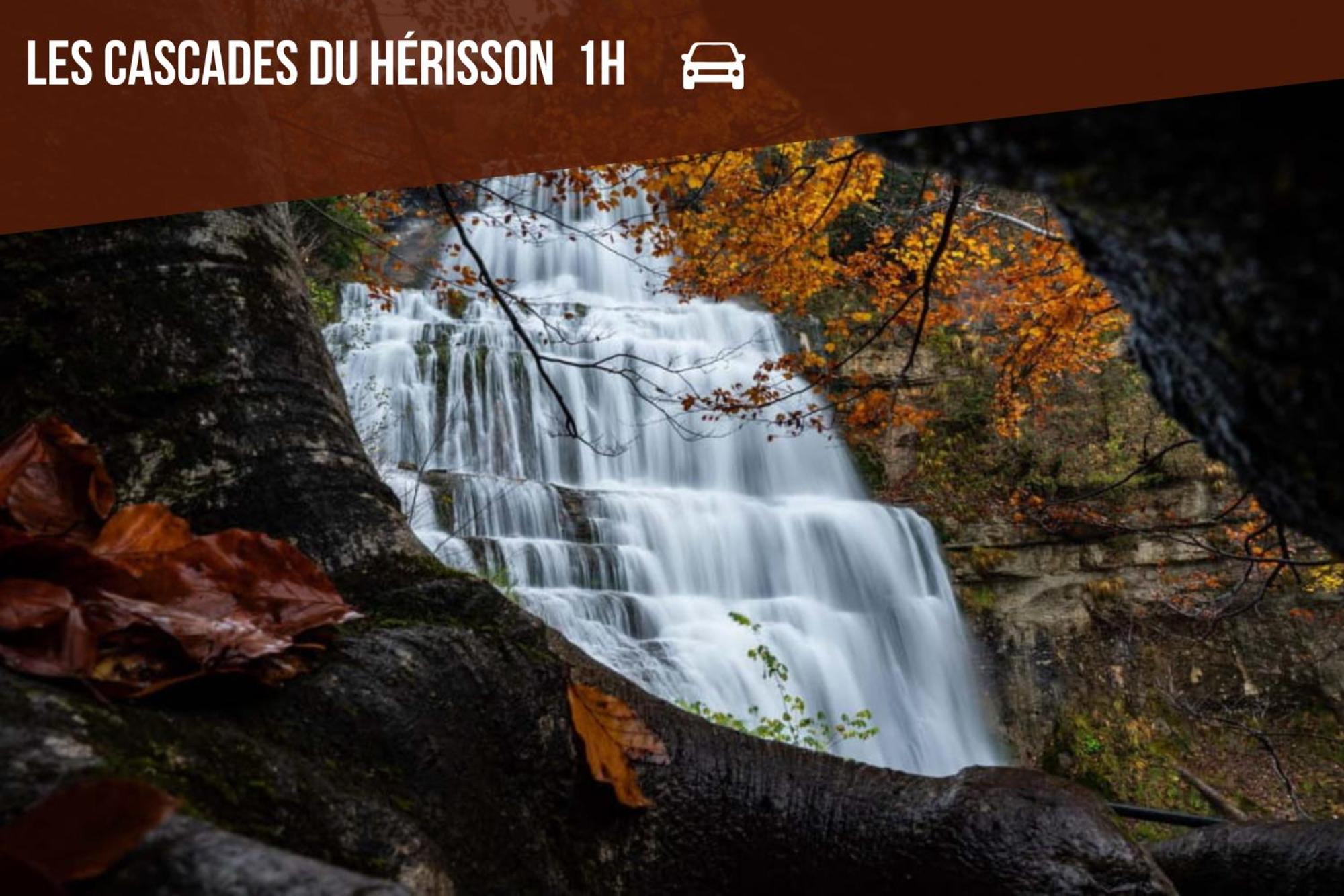 Le Zen * Foucherans (Jura)